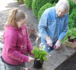 Tazewell County News Briefs