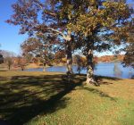 Woodford County Calendar of Events