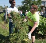 SIUE Students Learn About Community Service