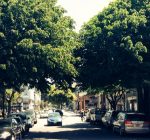 Woodford County Calendar of Events