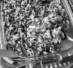 PRIME TIME WITH KIDS: Supper is on with hearty wild rice chicken casserole