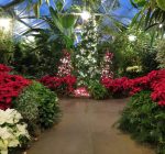 Tazewell County Calendar of Events Dec. 7 – Dec. 13