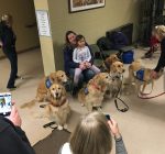 Healthcare systems see benefit for “comfort animals” in healing