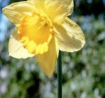 Tazewell County News Briefs
