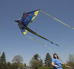 Peoria County Calendar of Events July 4 – July 11