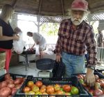 Richmond Farm hosts organic food stand, ethnic arts