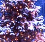 Woodford County Calendar of Events Nov. 21 – Nov. 27