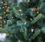 Green, white or plastic: The business of  Christmas trees