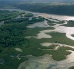 Group seeks floodplain resilience plan along Mississippi
