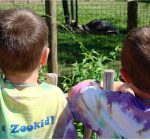 Visitors don’t take Peoria Zoo for granted