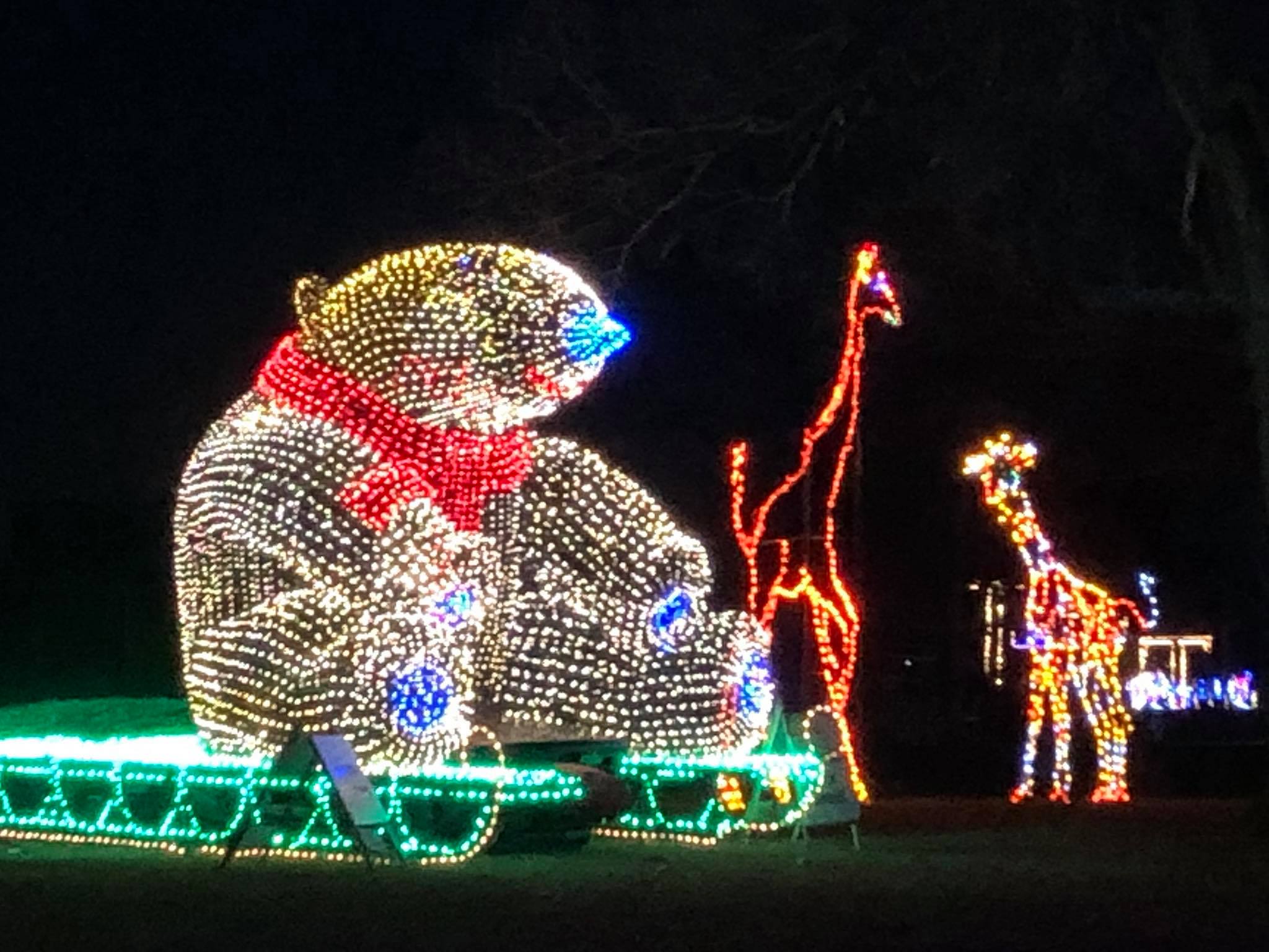 East Peoria festival lights the way to holiday season Chronicle Media