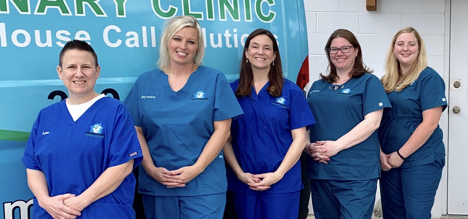 Mobile veterinary clinic brings pet services right to the front door