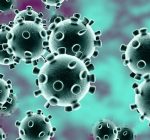 Three deaths from coronavirus reported in suburban counties