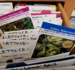 Free seeds available for Eureka Public Library cardholders  