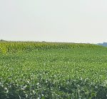 R.F.D. NEWS & VIEWS: Soybean growers set FY 2021 priorities