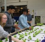 Program supports Illinois urban ag programs, career paths for youth