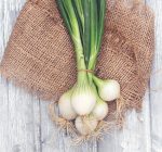 THE KITCHEN DIVA: Spring onions flavor the season