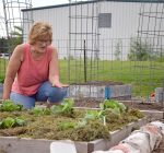 Master Gardeners team up with health dept. to grow food for local families