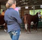 Woodford County 4-H show marks 100 years