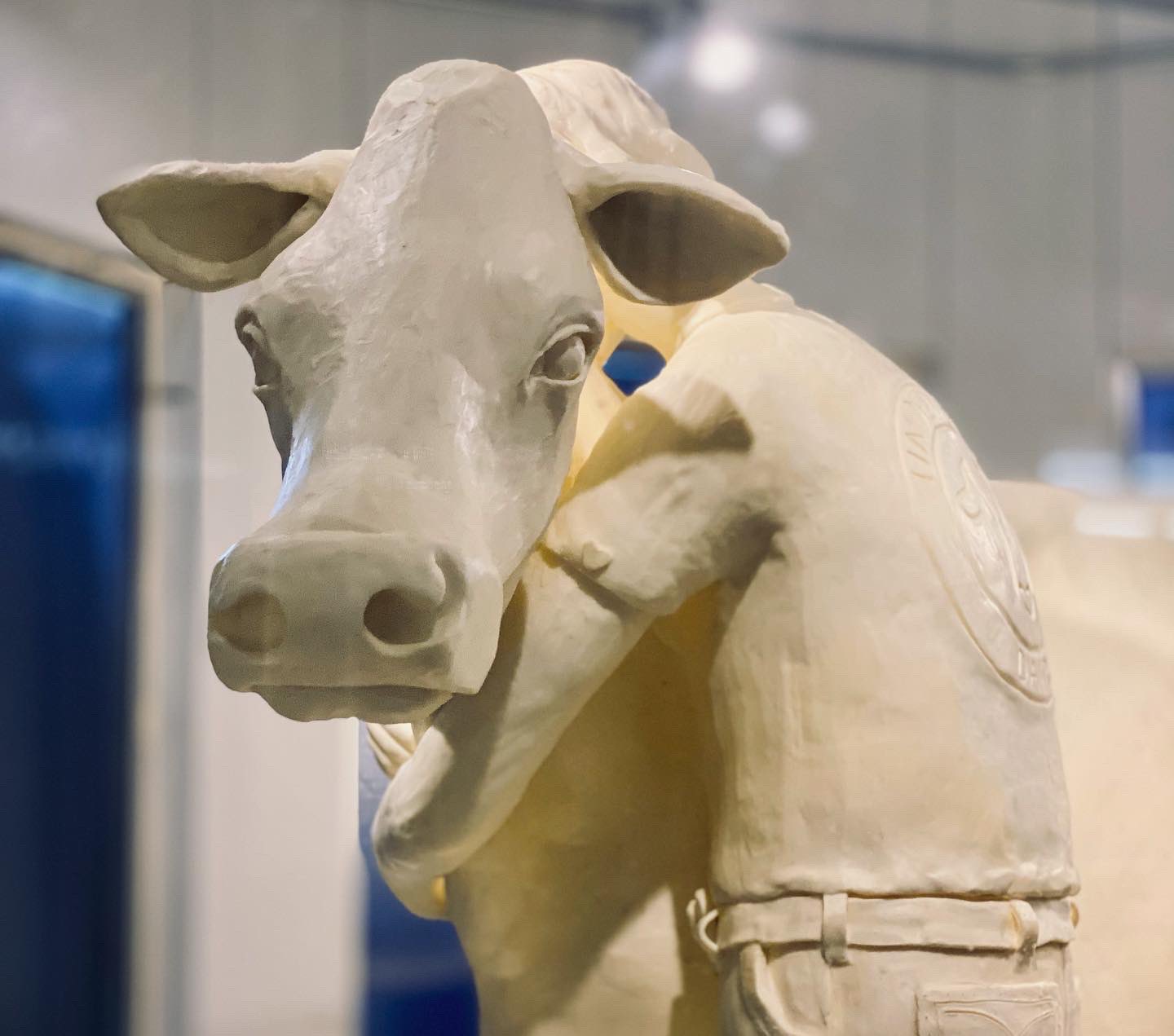 State Fair butter cow unveiled Chronicle Media