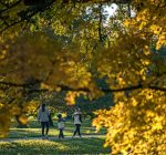 Morton Arboretum ready to celebrate fall 