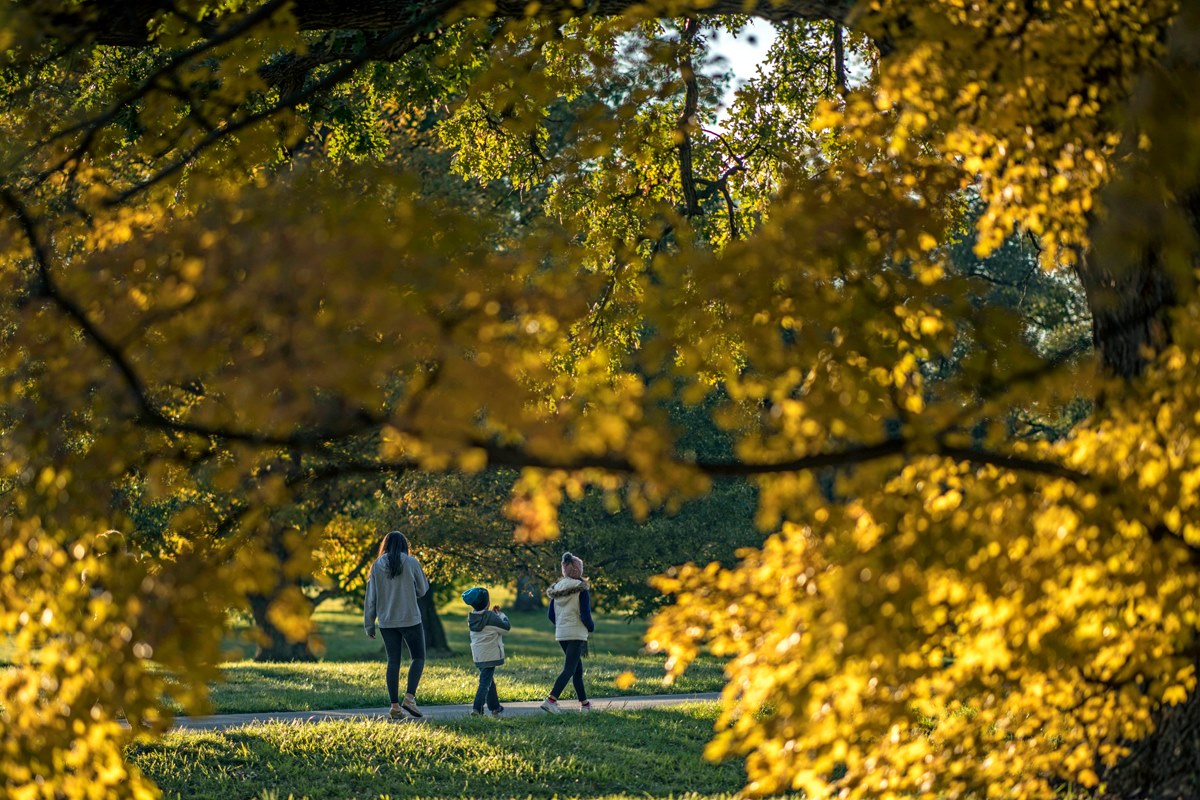 Morton Arboretum ready to celebrate fall - Chronicle Media