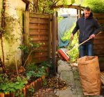Don’t forget about these late fall yard chores