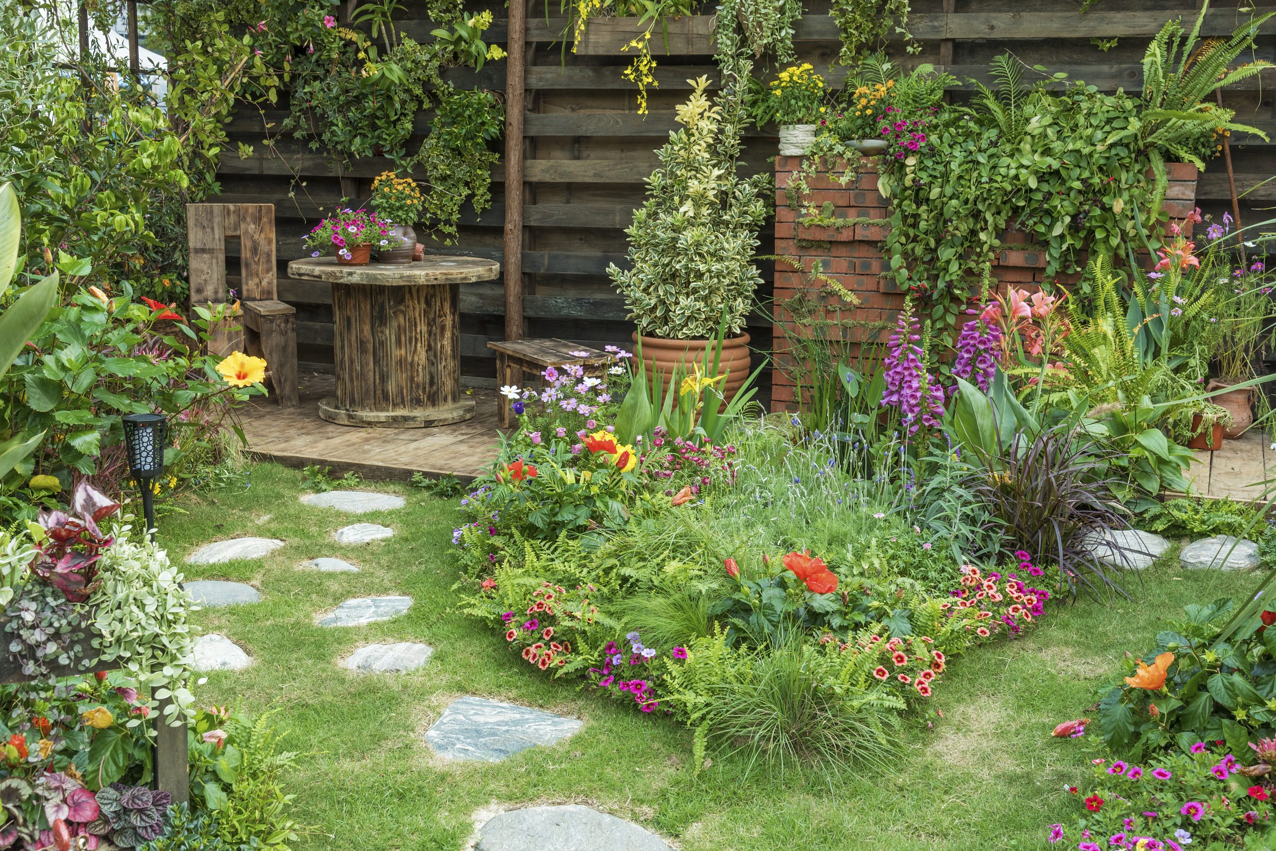 Joys of gardening returns this february chronicle media