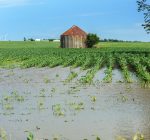 Farm Bureau opposes nutrient loss bill as negotiations continue
