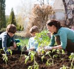 Encourage your kids, grandkids to get in the garden