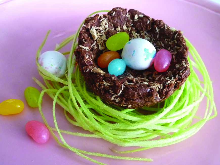 CREATIVE FAMILY FUN Edible bird nests imitate nature Chronicle Media