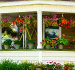 Porches and patios can come alive with creative container gardening