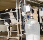 Illinois farmer shares his story in celebration of National Dairy Month