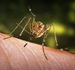 Officials urge residents to follow West Nile virus prevention plan