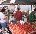 Tazewell County farmers markets open for a fresh new season