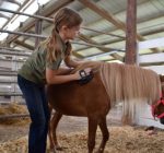 Tazewell  County Fair celebrates on work of 4-H