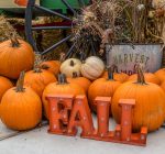 Pumpkins can extend beyond Halloween