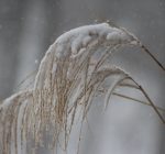 Winter weather: The difference between snow, sleet, and freezing rain