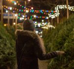 Selecting the right Christmas tree for your home