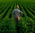 Ag industry producing more with fewer workers
