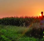 R.F.D. NEWS & VIEWS: Illinois corn yields among nation’s tops