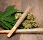 Cannabis regulatory reform bill fails to advance
