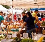 Farmers markets across region in full bloom