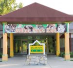 Eureka Public Library notes: Miller Park Zoo comes to you