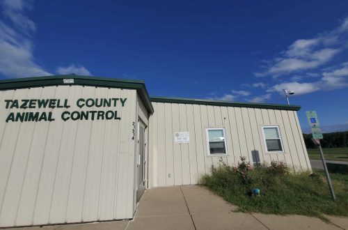 Tazewell, Woodford may combine Animal Control operations