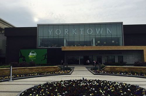 Naperville woman charged with having her kids steal from Yorktown store