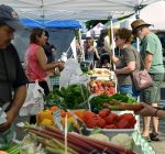 Farmers markets criss-cross county as summer starts