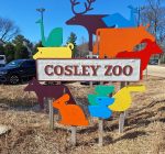 Cosley Zoo parking expansion hops first hurdle