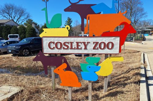 Cosley Zoo parking expansion hops first hurdle