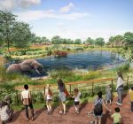 Brookfield Zoo plans renovations, expansion